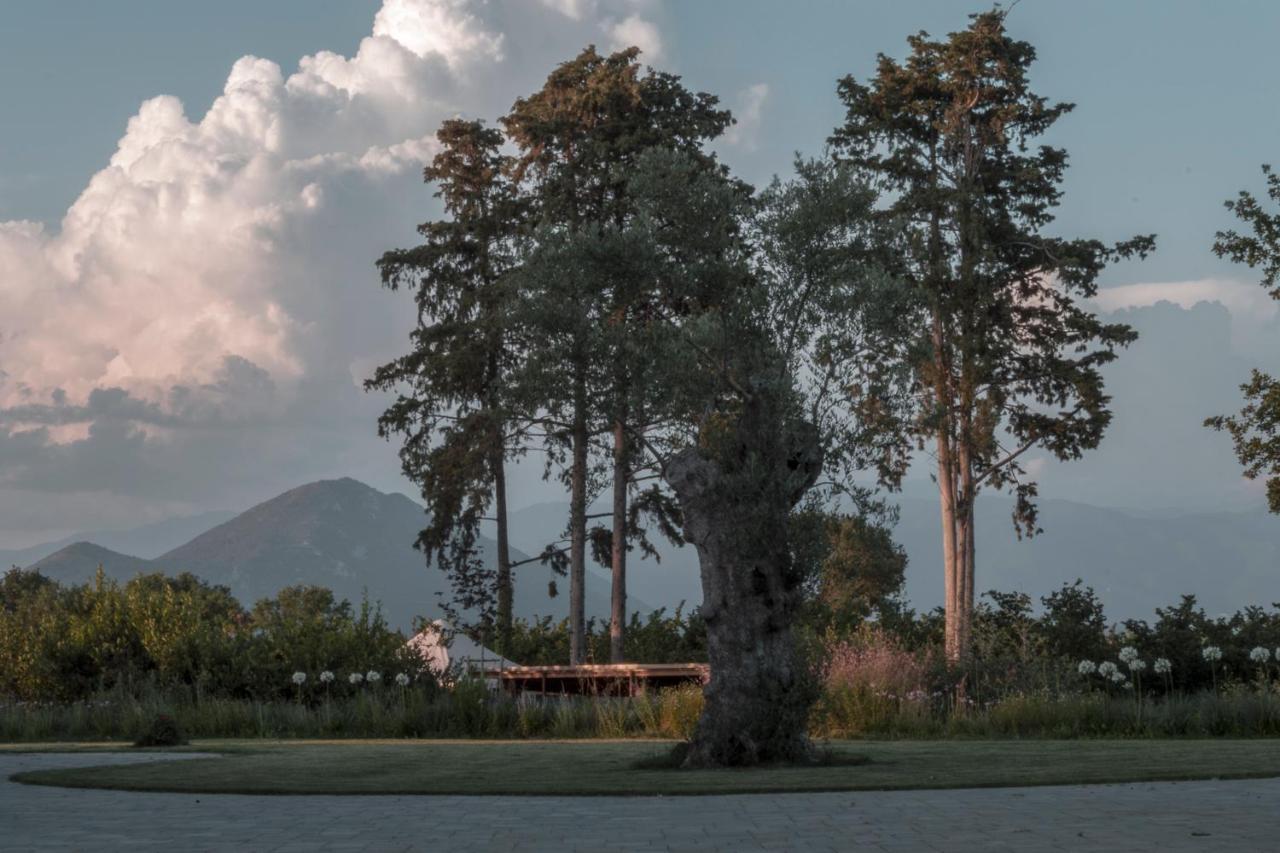 I Cacciagalli Wine Resort Teano Exterior photo